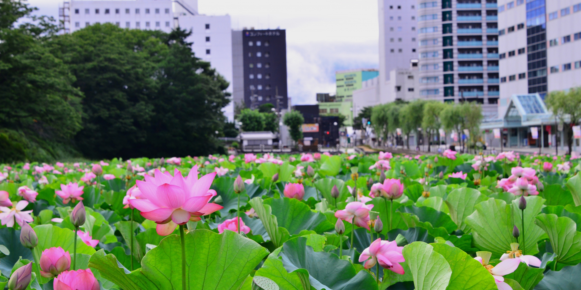 下宿 芙蓉寮